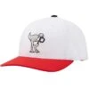 Puma Youth Dino-Mite P Snapback Golf Cap