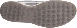 ECCO Ladies Golf Biom Hybrid Golf Shoes -Golf Sports Shop EccoLadiesHydromax SilverMetallic3
